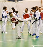 Taekwondo Adulti Baràm